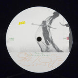 BSR039: Polito - Collapse Phase (LP)