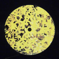 BSR045: Sleep D - Big Sky, Liquid Sun