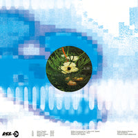 BSR045: Sleep D - Big Sky, Liquid Sun