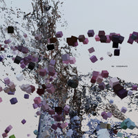 BSR042: RBI - Disseminate